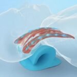 coussin orthopedique pour une detente de la colonne vertebrale 746 1