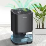 deshumidificateur purificateur dair portable pour un confort 710 1