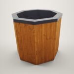 bain froid bois vue ensemble Bain froid en bois, vue d’ensemble